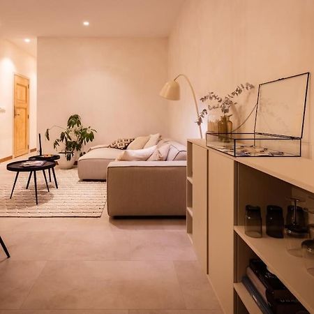 Appartement Met Tuin In Haarlem Centrum 外观 照片