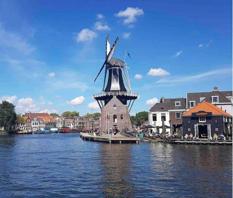 Appartement Met Tuin In Haarlem Centrum 外观 照片