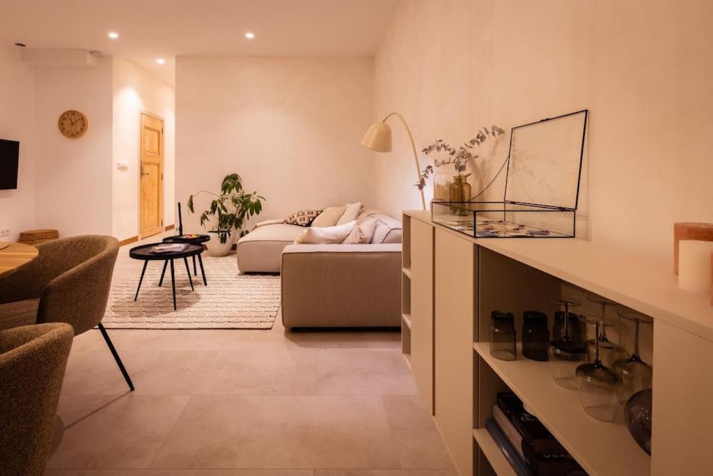 Appartement Met Tuin In Haarlem Centrum 外观 照片