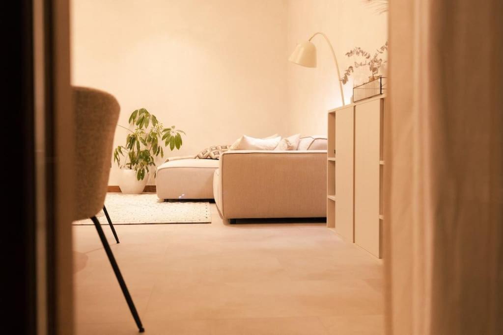 Appartement Met Tuin In Haarlem Centrum 外观 照片